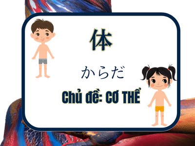 Từ vựng tiếng Nhật chủ đề  BỘ PHẬN CƠ THỂ