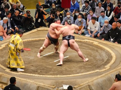 Khám phá văn hóa Nhật Bản với chủ đề: Đấu vật Sumo (Phần 1)